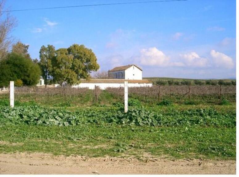 صورة توضيحية