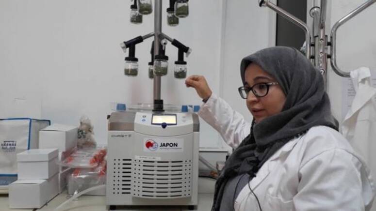 ������� ���� ���� 