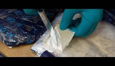  ����� �������: ��������� ������ ����� ����� �������ɻ �� ���� �������