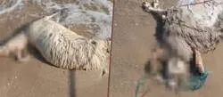 ����: ������ ��� 10 ����� ����� ������� ��� ����� ����� ������