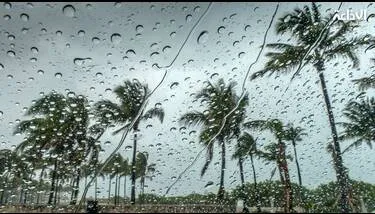 ������ ������ ����� �����: ���� ����� �������� ���� ��� ����� 2026