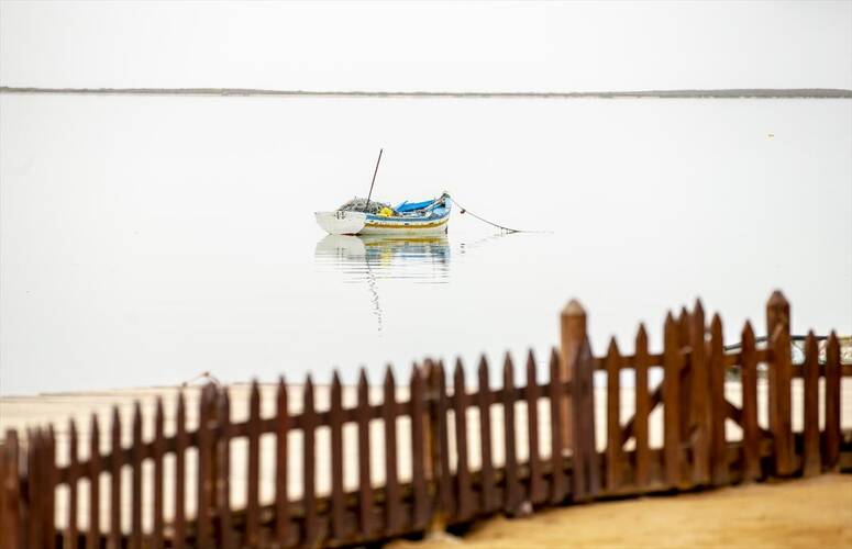 Photo  Yassine Gaidi /AA