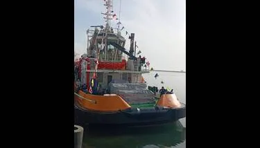 ���� ������ ������ 