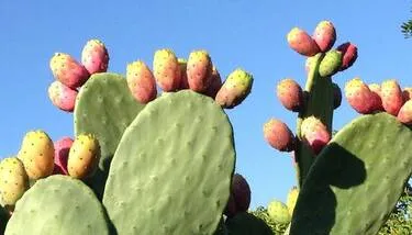 �������: ������� ������ �������� ����� ����� ��� ���� ����� ������ ������ ������� �������� ��� ������ ��� ���� �����