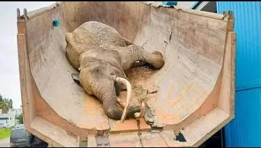 ����� ���� ���� ���� ����� �� ������� ������� ������� ����� ������� ������� �������