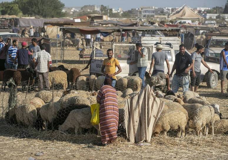 Photo credits Yassine Gaidi