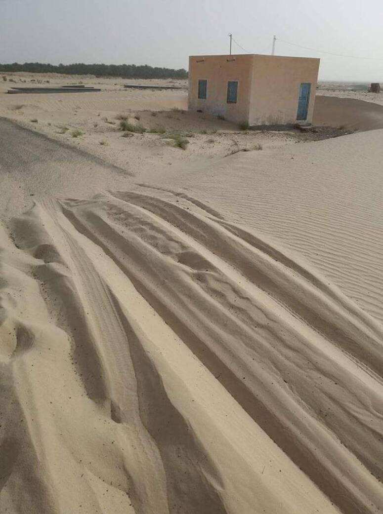Photo Credits: Salha Mahjoubi Triki/facebook