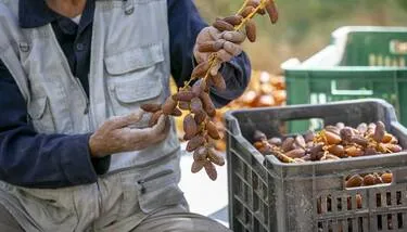 ���� ������ �� ������ ����� 404 ���� ��