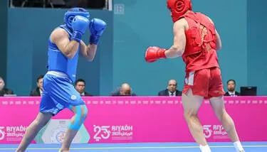    ( 2025):           85 