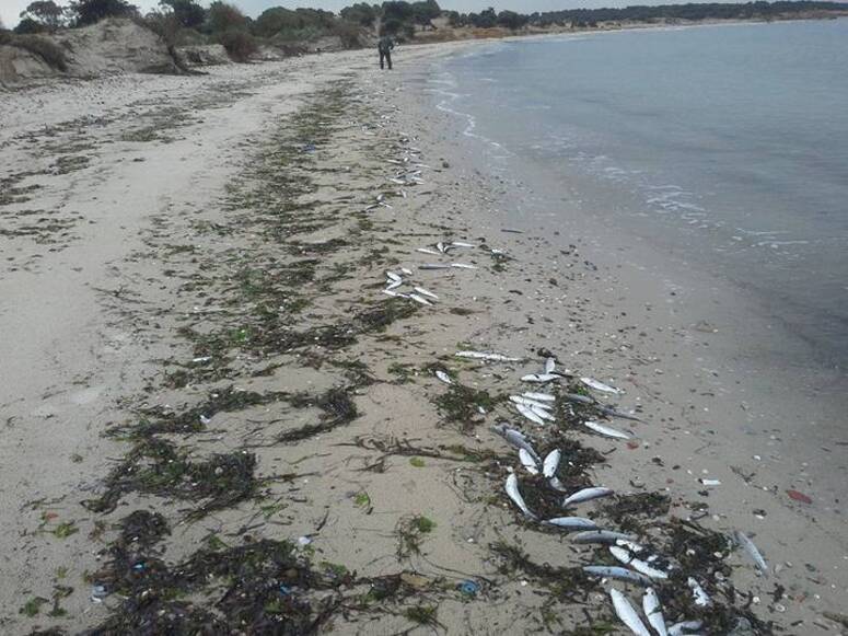 Plage Soliman