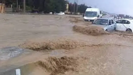 ������ ���� ����� ������ �� ���� ������� 