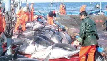 ����� ������� ���� �� ����� ��� ��� ���� ������ ����� 2026 ����� ���� ����� �������