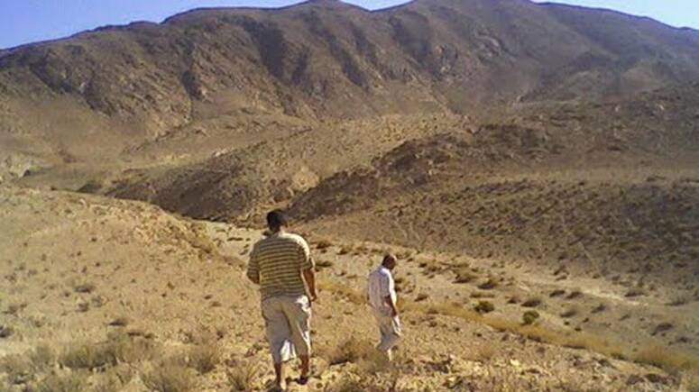 صورة توضيحية