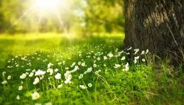 ������ ������ ����� �����: ���� 2025 ���� ����� �� ������� ���� ��� ����� ������ ������� �������