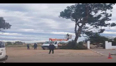 ������ ����� ����� ������� � ������� ��� �������� ������