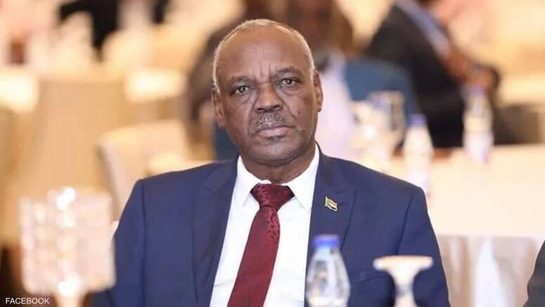 وزير المعادن السوداني محمد بشير أبو نمو