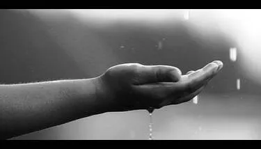 ���� ����� ������� ���� ���24 ���� �������