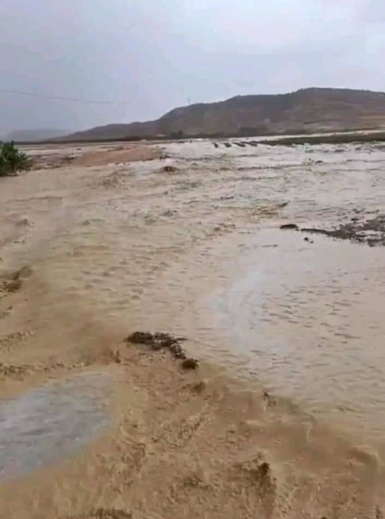 عددا من المنازل المحاذية للوادي المذكور تسربت لها كميات قليلة من المياه (8 منازل) وقد تدخلت فرق الحماية المدنية وقامت بالمعاينات الضرورية، مؤكدا أن المياه المترسبة للمنازل المذكورة لا تشكل أية خطورة و