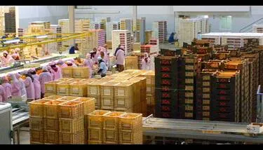   ������ ���� ���� ������ 148 ����� ����� ���� ��� ��� 23 ����� ���� ��� 2025 