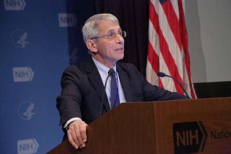 NIAID, CC BY 2.0, via Wikimedia Commons