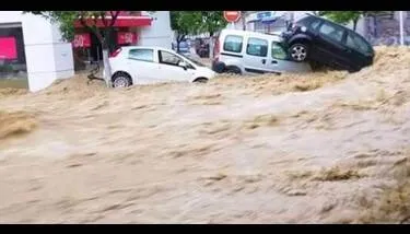 ���� ����� �� ������� ���� ������� �������