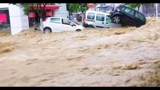 ���� ���� ����� �������� ���� ������� �������