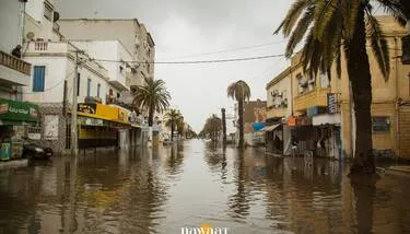 ����� ����� ������ �� ���� ������ ������ ���� ������ �������� ����� 2026 ����� ��������� (����)