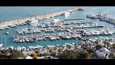 ����� ������� ������� ��� ������ 