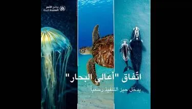 ����� ����� ������ ���� ���� ������� �����ǡ �������� ���� ����� ��� ���� �� ����� �������� ��������