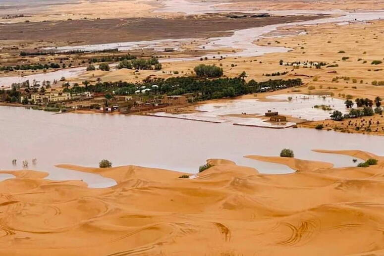 أكد المتحدث باسم وزارة الداخلية، رشيد الخلفي، أن هذه الكميات من الأمطار توازي نصف معدل الأمطار السنوي في المنطقة، ما أدى إلى حدوث فيضانات جارفة غير متوقعة.