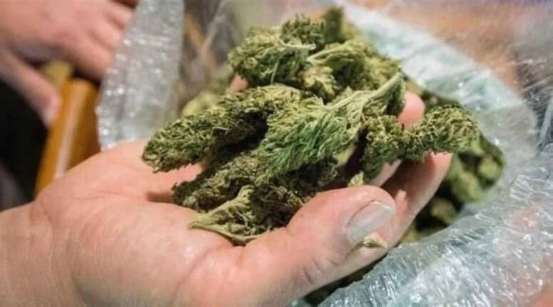 صورة توضيحية