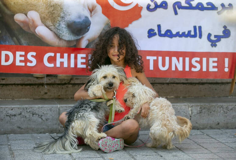 Photo Yassine Gaidi/AA