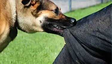 ������ : ��� ���� ���� ����� ����  ����� ����� ��� ������ �������