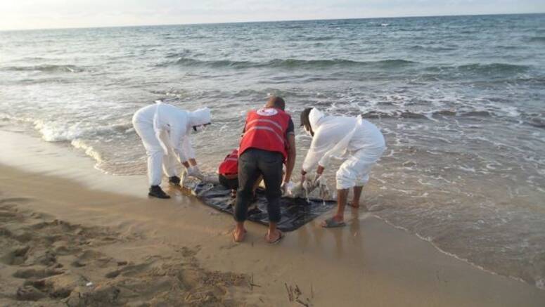 صورة توضيحية