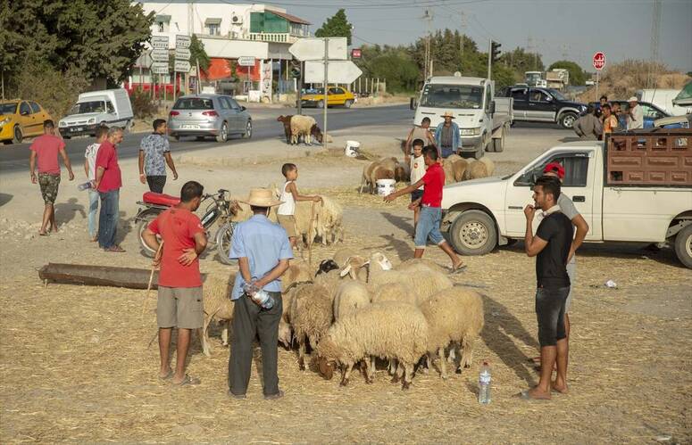 Photo Yassine Gaidi/AA