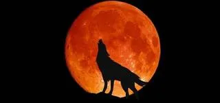 ���� ����� ������ ��� ��� ����� �� 2026  