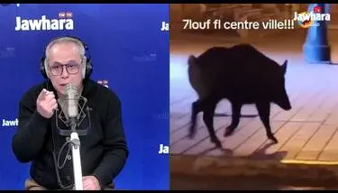 ��� �������� ������� ���� ���� �� ��� ������ɿ