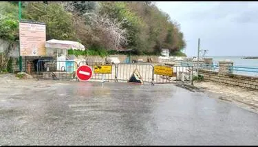 ������: ��� ������ ��������  �����  ������ ���� ������ ����