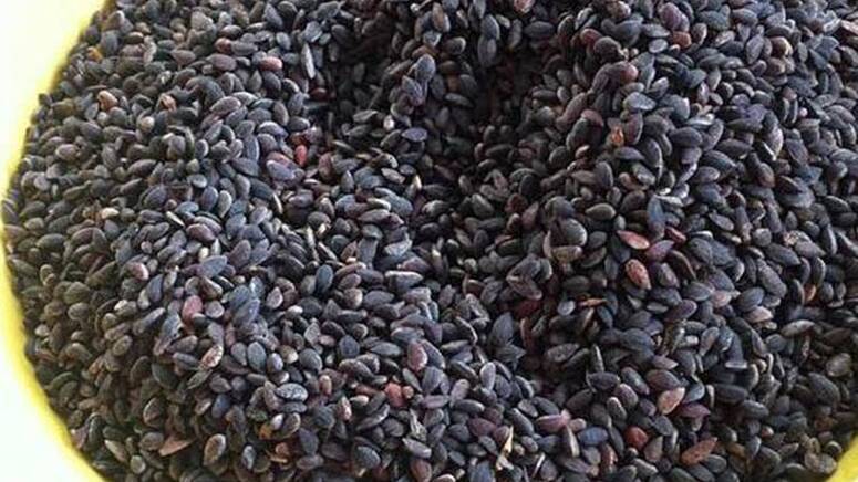 الهيئة خصصّت 76 فريقا رقابيا لهذه الحملة تولّوا تأمين 1505 عملية مراقبة رسمية للمنشآت والمحلات المتخصصة في إنتاج وتحويل وخزن وبيع منتجات الزقوقو والفواكه الجافة وحلويات الزينة بمختلف الولايات، للوق