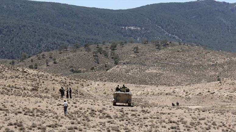 صورة توضيحية