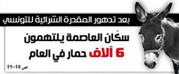 آخر خبر : سكان العاصمة يلتهمون 6 آلاف حمار سنويا