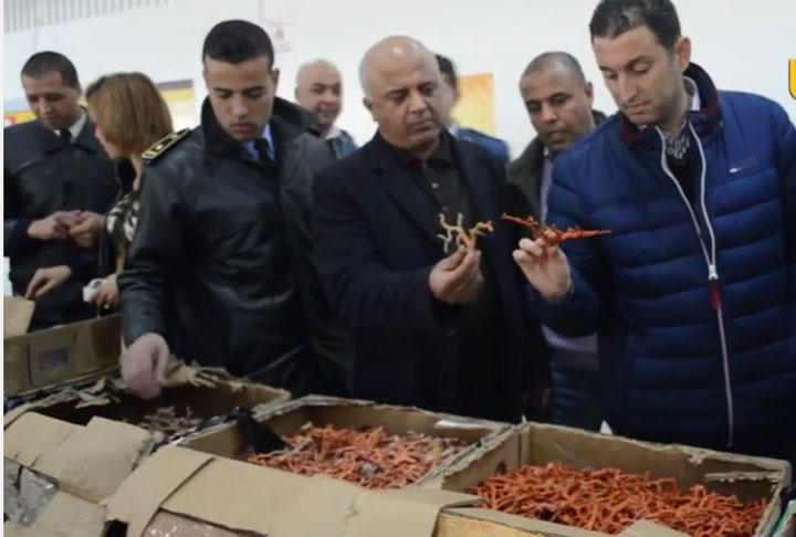 فيديو لعملية احباط تهريب 200 كلغ من المرجان إلى ايطاليا بميناء حلق الوادي
