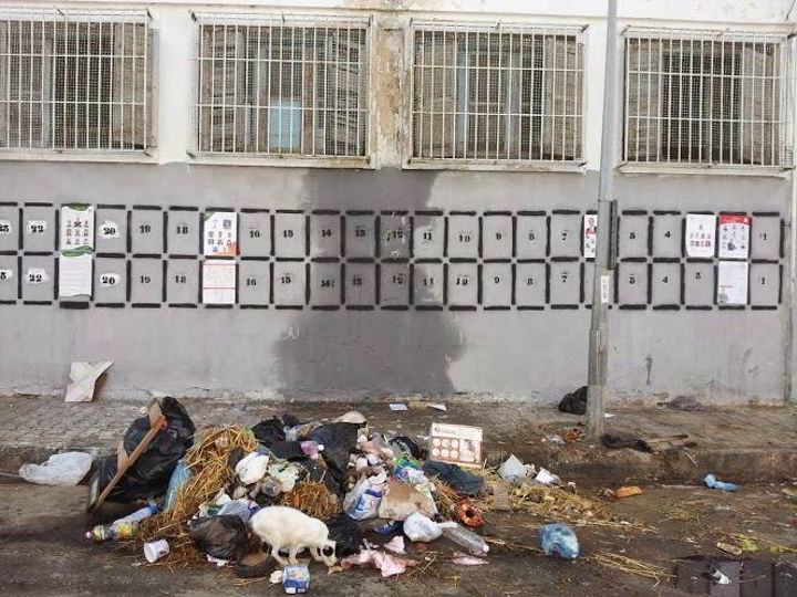 صورة اليوم: الحملة الانتخابية انطلقت ... لكن بجانب الأوساخ