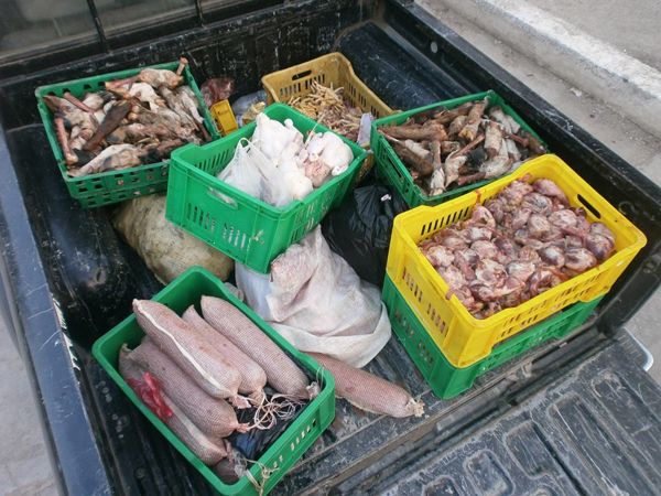حجز 756 كلغ من اللحوم غير صالحة للإستهلاك