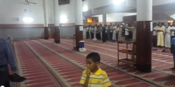 بالفيديو