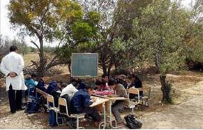 صورة اليوم: بسبب غياب فضاء للتدريس, معلم يدرس تلاميذه تحت زيتونة