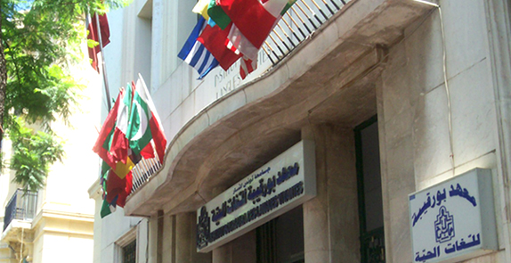 ديوان التونسيين بالخارج ينظم دورة جديدة من الجامعة الصيفية ل