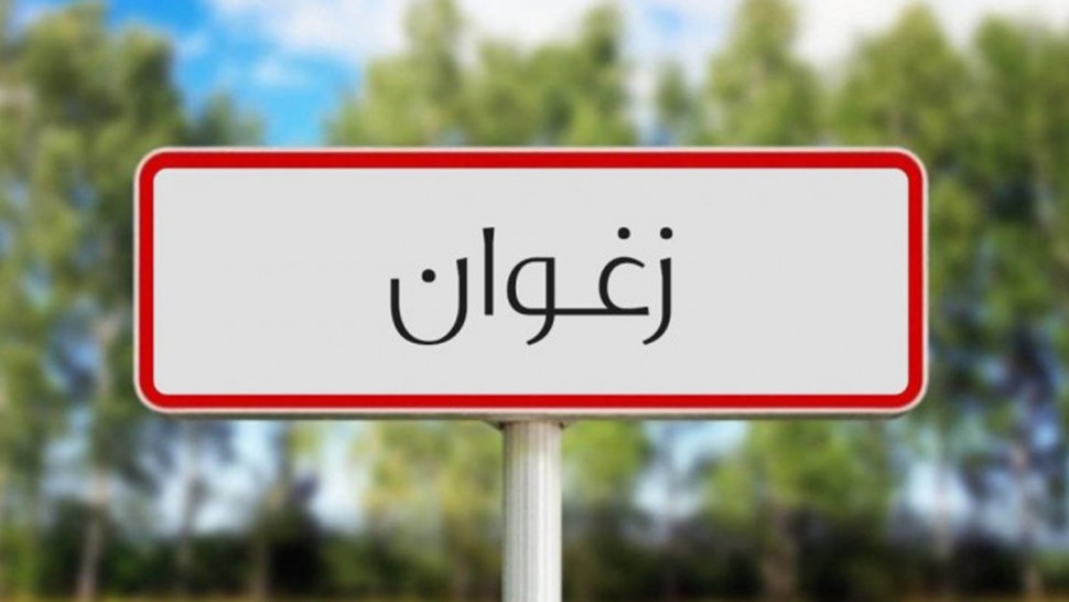 زغوان: الشروع قريبا في إنجاز 176 ماجلا بقيمة 6 ملايين دينار ضمن مشروع التنمية والنهوض بالمنظومات الفلاحية (مندوبية الفلاحة)
