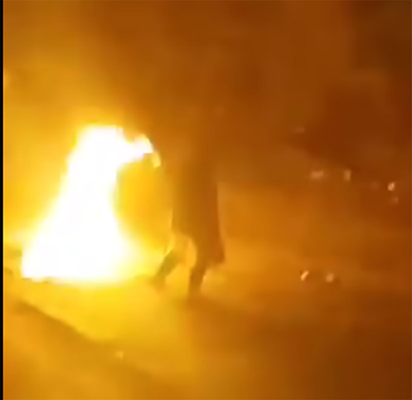 الملاسين: إيقاف امرأة ظهرت في فيديو وهي تحرق القطط بالبنزين