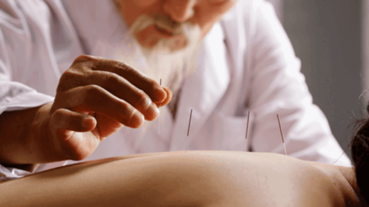 طلبة من كلية الطب بسوسة يشاركون في برنامج تكويني في مجال الطب الصيني التقليدي بالصين